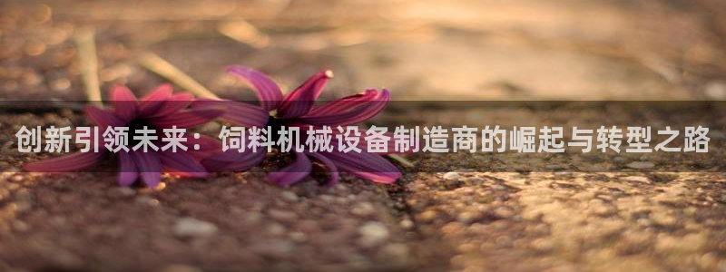 鸿运在线是什么平台