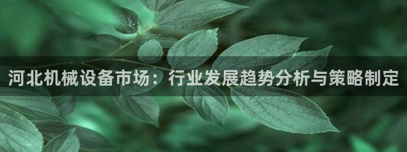 鸿运连连平台