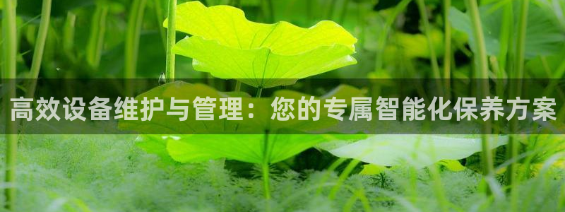 鸿运平台是大平台