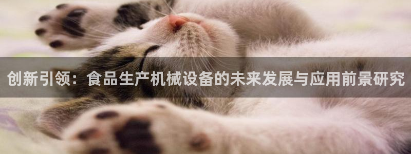 鸿运彩票平台官网