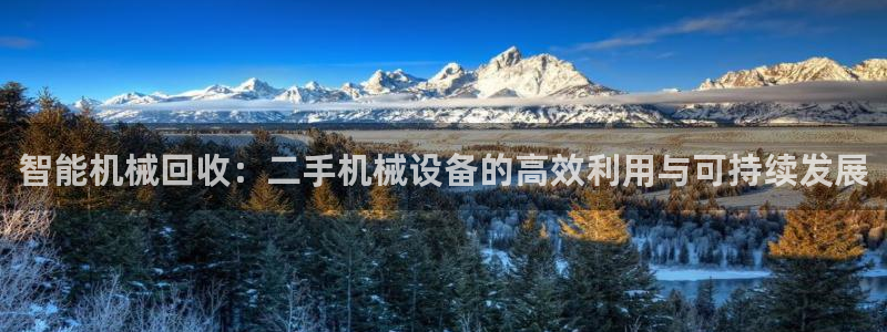 鸿运app是什么平台