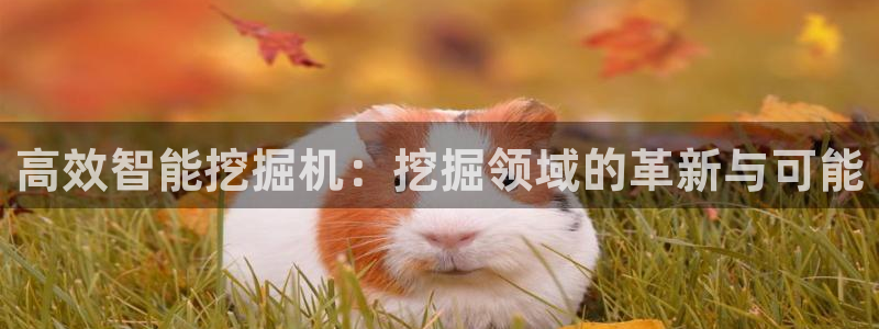 鸿运彩票平台怎样