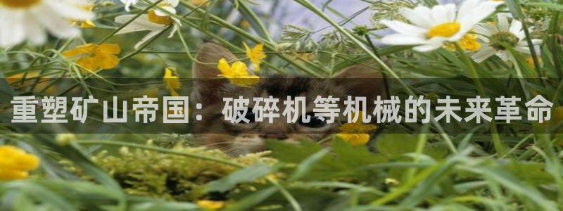 鸿运在线是什么平台