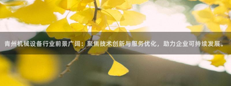 鸿运集团平台招聘