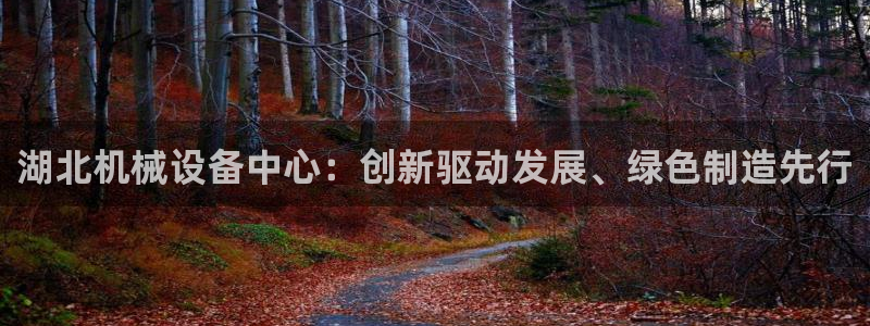琥珀鸿运是什么平台