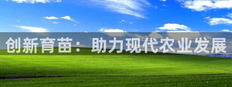鸿运直接平台
