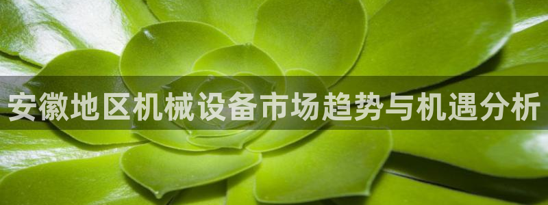 鸿运食品直播平台