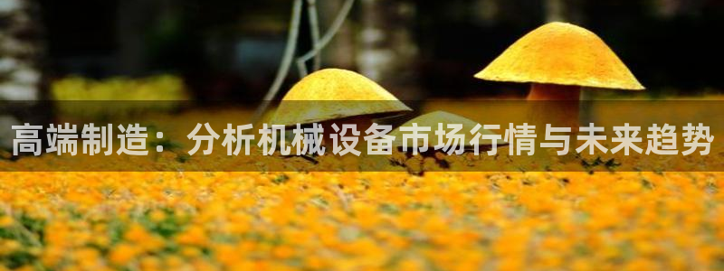 鸿运通什么平台