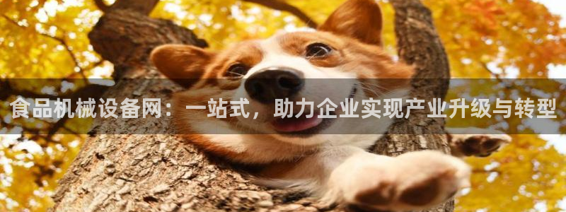 鸿运彩票权威平台