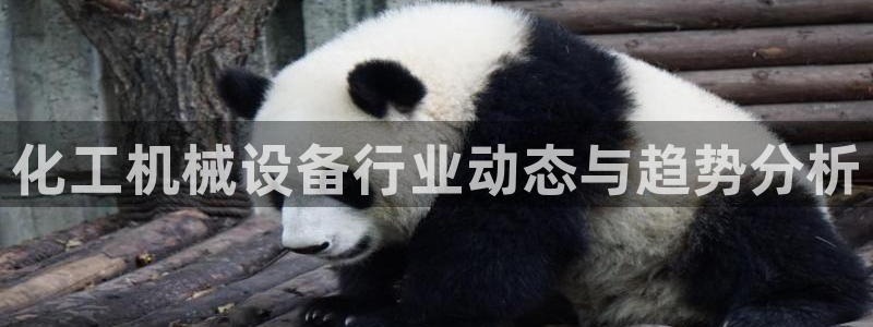 鸿运网彩票平台
