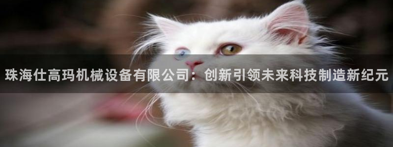 鸿运卡盟平台