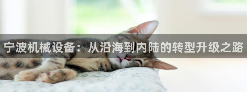鸿运平台分分彩