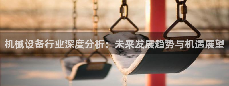 鸿运国际app平台