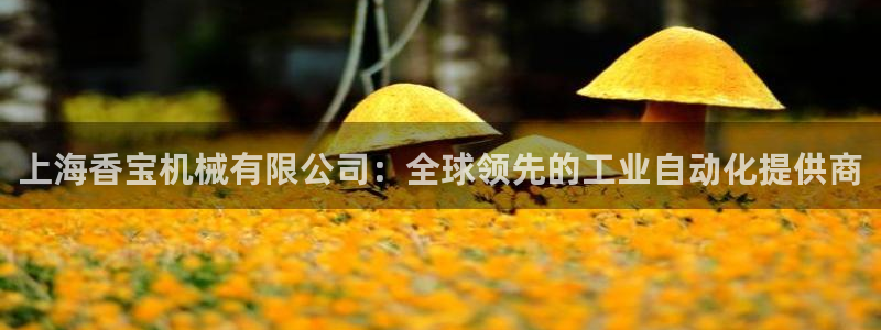 鸿运当头直播平台