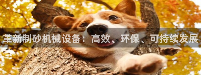 鸿运平台
