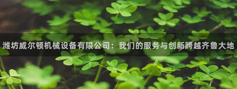 鸿运来投资平台