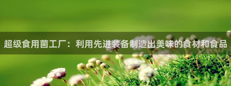 焦作鸿运招人信息平台