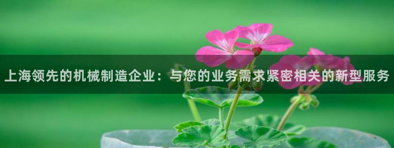 鸿运物流诚信经营平台