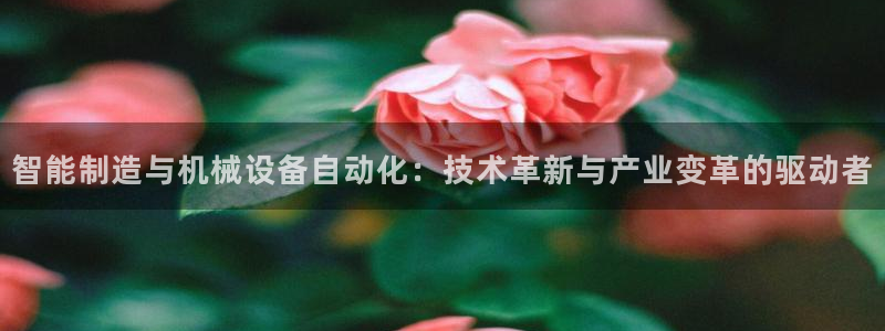 鸿运国际黑平台
