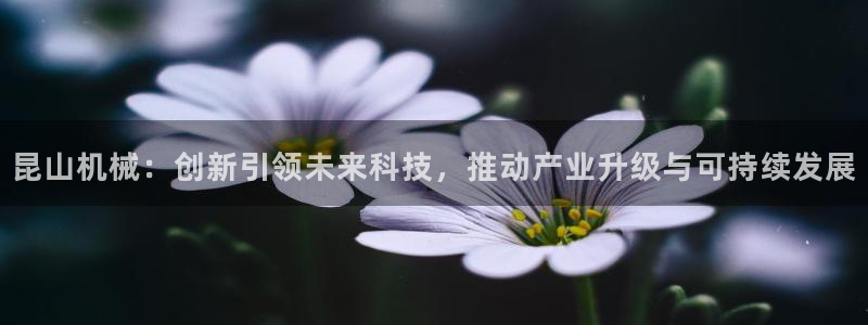 鸿运彩票平台可靠吗