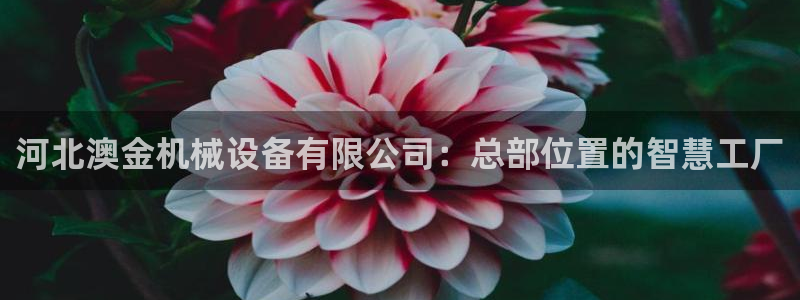 鸿运公司有哪些平台