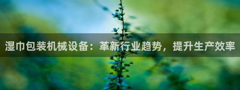中国鸿运是什么平台