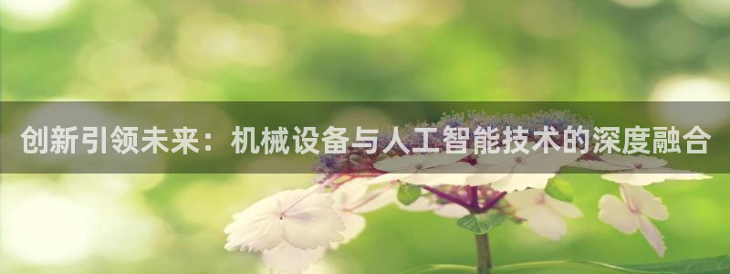 鸿运彩票网络平台官网