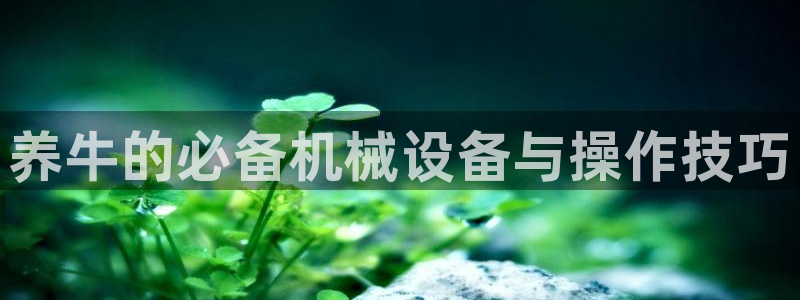 长鸿运营平台