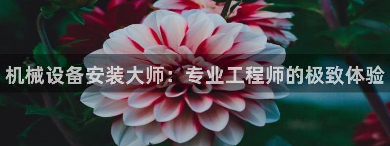 鸿运彩票 的平台