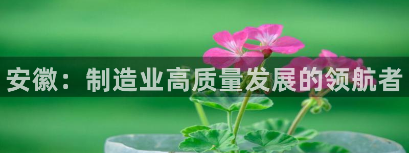 鸿运平台刷投注