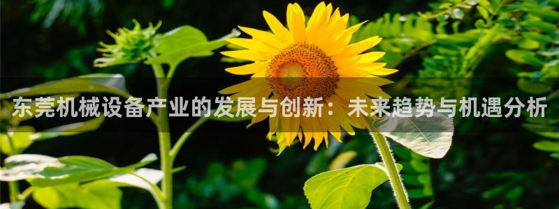 鸿运在线是什么平台