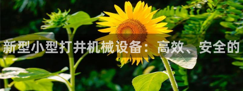 鸿运彩票网络平台下载