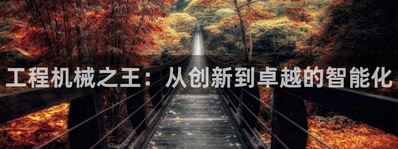 大发鸿运平台