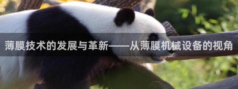 鸿运仓储直播平台