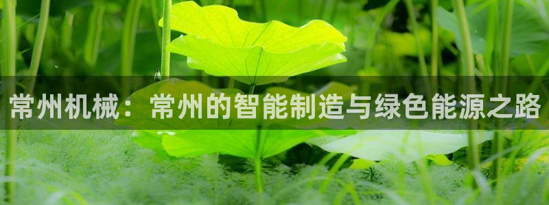 鸿运 平台登录