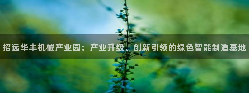 鸿运通宝平台