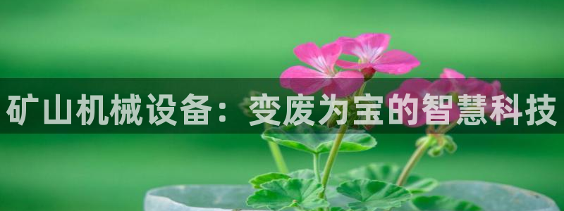 鸿运电商平台茶