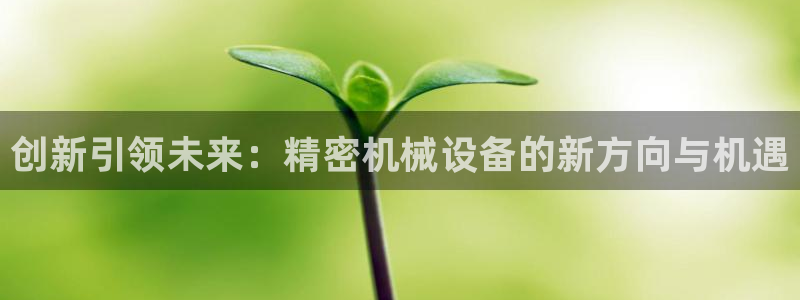 鸿运平台刷投注
