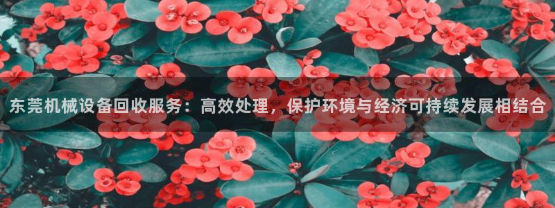琥珀鸿运是怎样的平台