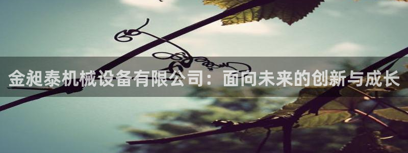 鸿运物流直播平台