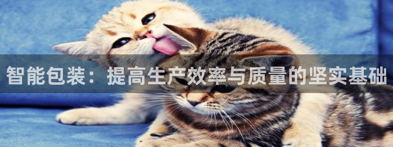 鸿运平台分分彩