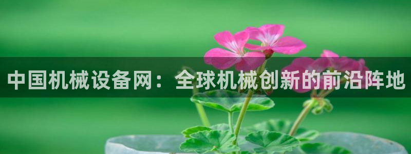 鸿运当头社交平台