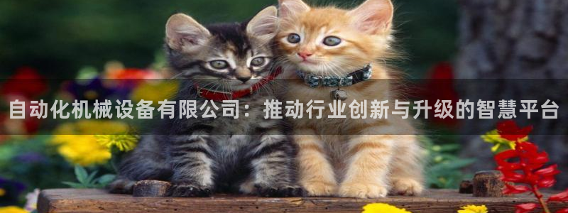 鸿运彩票黑平台
