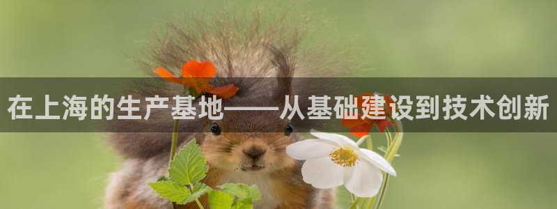 鸿运跑分平台