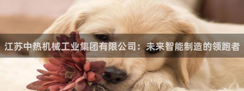 鸿运国际平台平台介绍