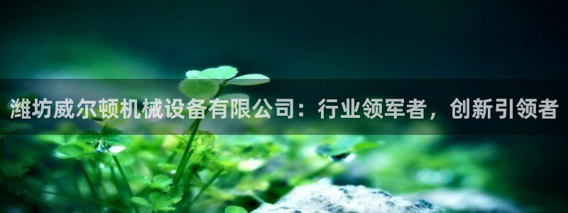 鸿运游戏下载平台