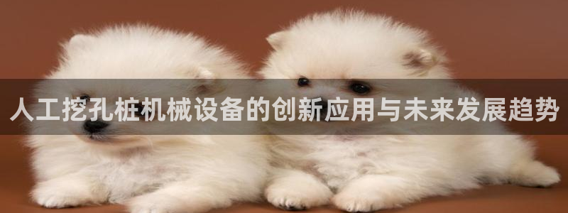 鸿运国际平台平台介绍