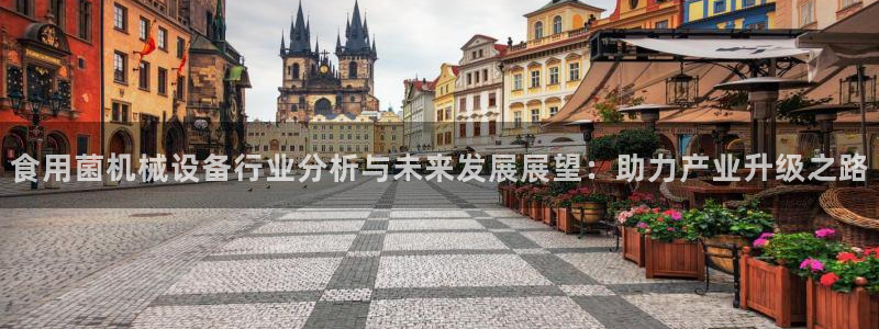 鸿运充值平台
