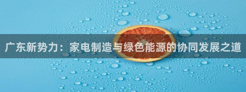 鸿运资本平台被骗