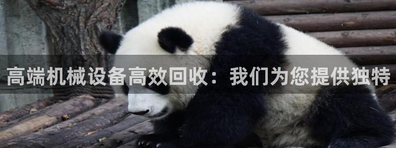 鸿运彩票平台登入